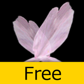 Petal,snow,gold LiveWallParper icon