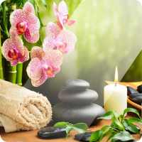 Massage Therapy Techniques on 9Apps