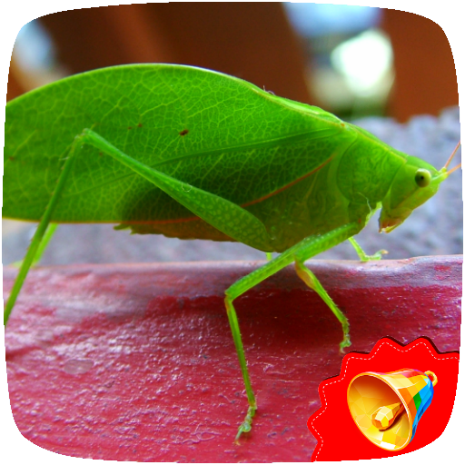 Cricket Sounds icon