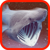 Hungry Big Shark icon