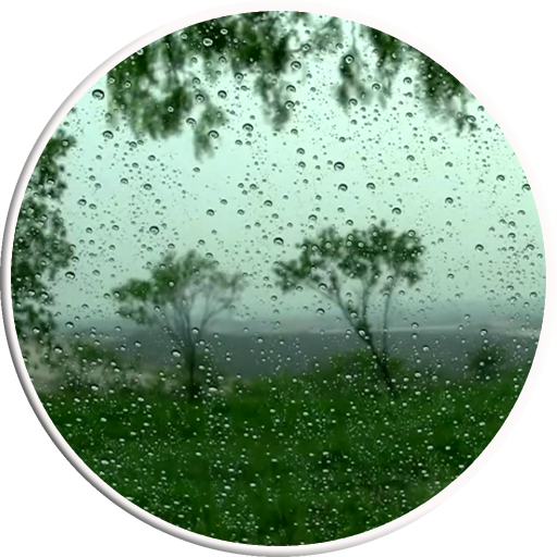 Rain Video Live Wallpaper icon