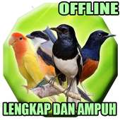 Suara Pikat Segala Jenis Burung Liar on 9Apps