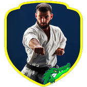 Karate Moves (Guide) icon