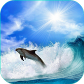 Cat Dog Dolphin Live Wallpaper icon