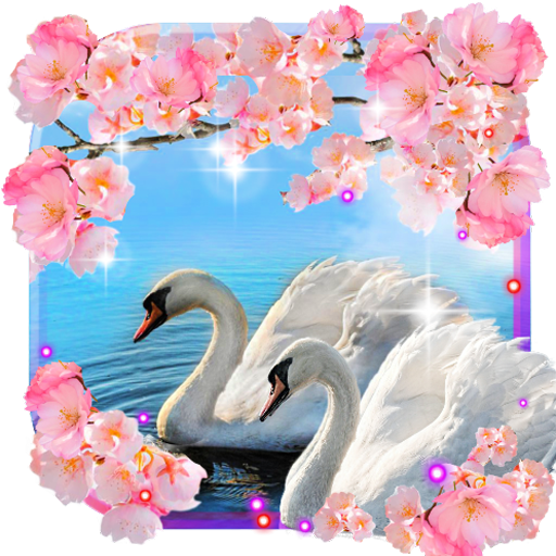 Swans Spring Love live wallpaper icon