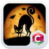 Halloween Theme : Pumpkin and Black Cat Wallpaper أيقونة