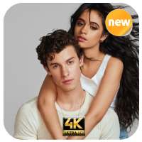 Camila Cabello and Shawn Mendes Wallpapers 4k HD on 9Apps