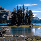 Nature River Live Wallpaper icon