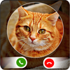 Cat video call icon