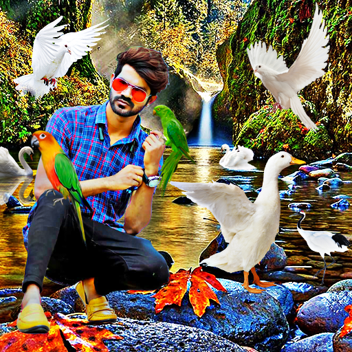 Bird photo editor birds photo frame icon