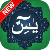 surah yaseen   Audio Offline 2020 surah yaseen mp3 أيقونة