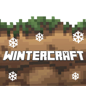 Winter Craft - 3D Snow Game icon
