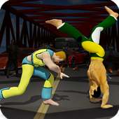 Capoeira Fighting