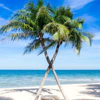 Fondos de paisajes hermosos. Naturaleza on 9Apps