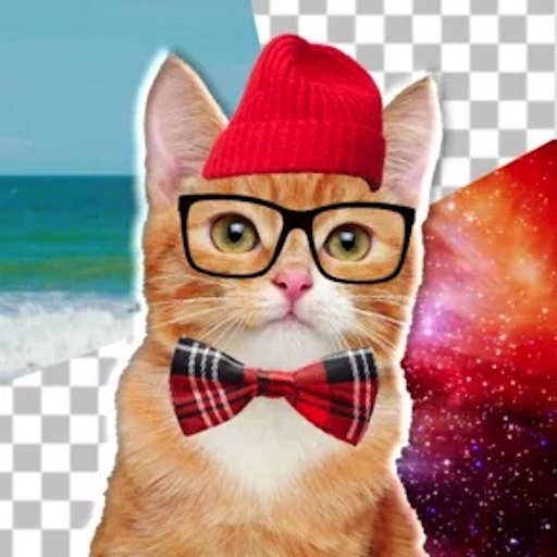 Cat Photo Editor icon