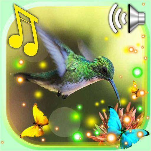 Colibri Free LWP icon
