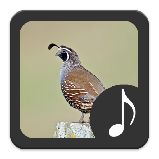 Quail Sounds icon