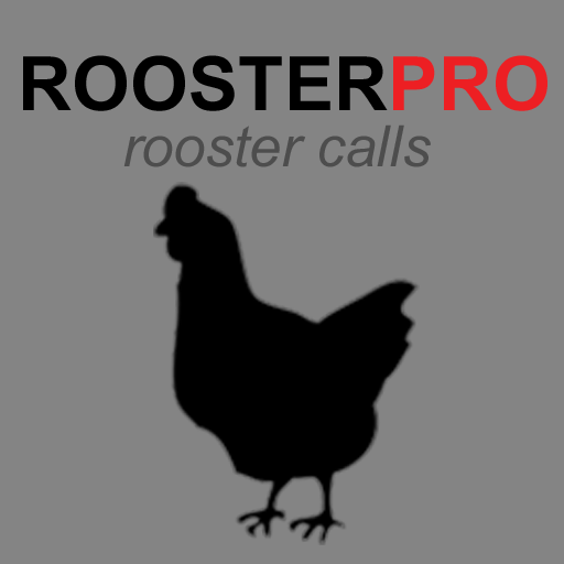 Rooster Sounds &amp; Chicken Sound icon