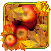 Apples Autumn live wallpaper icon