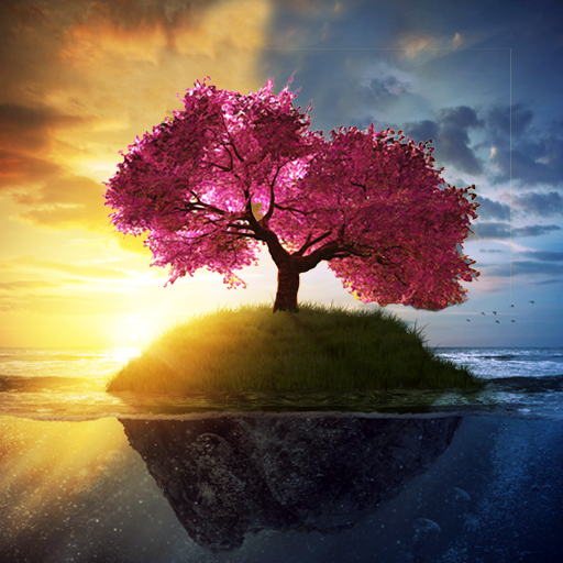 Romantic Live Wallpaper icon