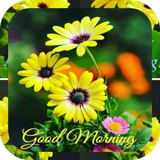 Good Morning Flowers, Roses Images icon