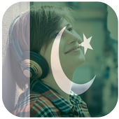 Pakistani Flag icon