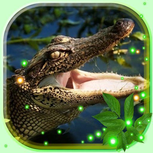 Crocodiles live wallpaper icon