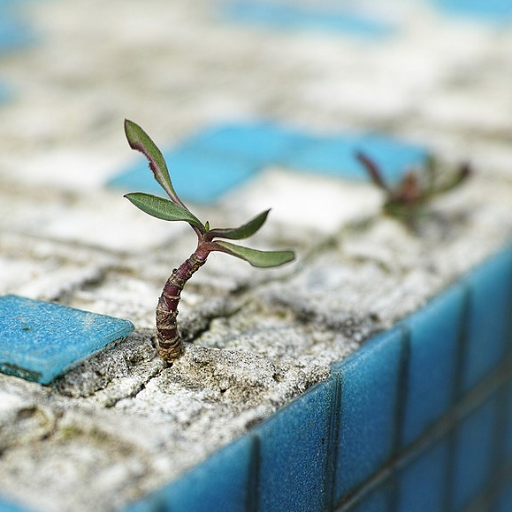 Pure Air And Cleaner Air With Air Purifier icon