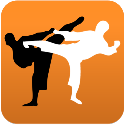 Karate in brief icon