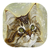 Fluffy cat live wallpaper icon