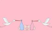 Sonho de Ser Mãe icon