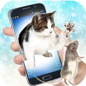 Cat Catch The Mice Mouse On Screen Joke