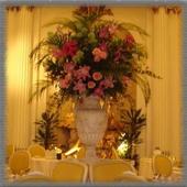 Five Star Hotels Wallpaper icon