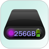 256 GB Storage Space Cleaner GPU/CPU :simulted icon
