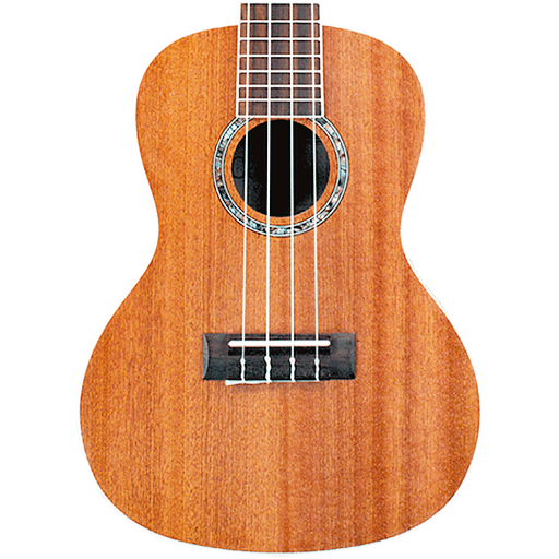 My Ukulele - Solo &amp; Chords icon