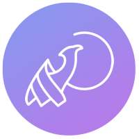 Phoenix - Prise en charge du craving