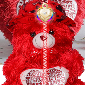 دمية دب زيبر قفل الشاشة أيقونة