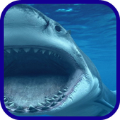 Shark blue sea icon