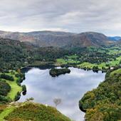 BF Best Backgrounds icon