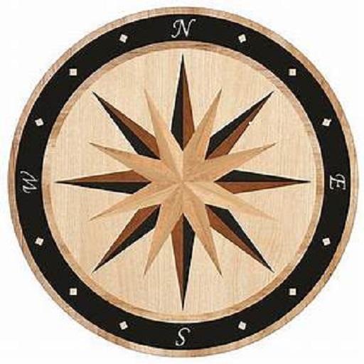 Compass Pro icon