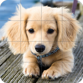 Tile Puzzle - Dogs icon