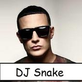 DJ Snake Songs offline icon
