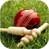 Cricket Live Line
