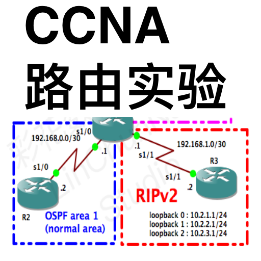 CCNA Labs Routing Lite icon