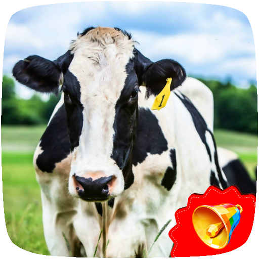 Cow Sounds icon