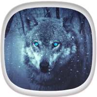 Wolf Wallpapers: Cool Animal Backgrounds Free on 9Apps