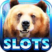 Slot Machine: Bear Slots