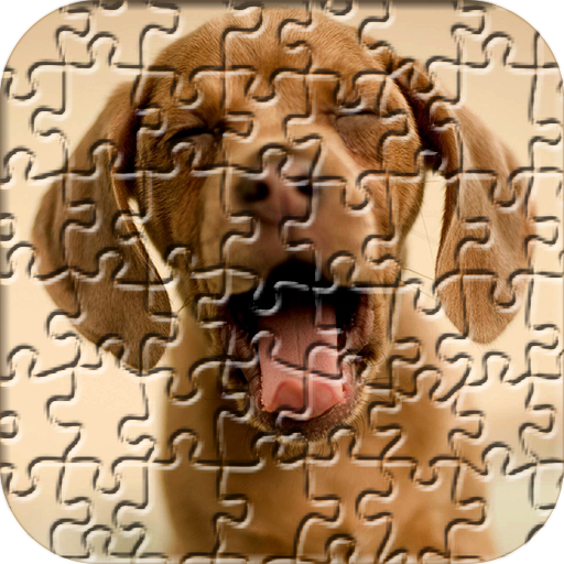 Dogs Jigsaw Puzzles for Kids icon