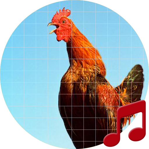 Funny Chicken Sounds ~ Sboard.pro icon