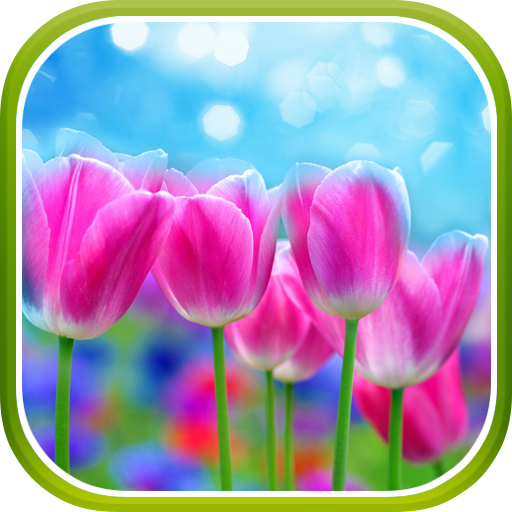 Весенние Цветы Живые Обои иконка